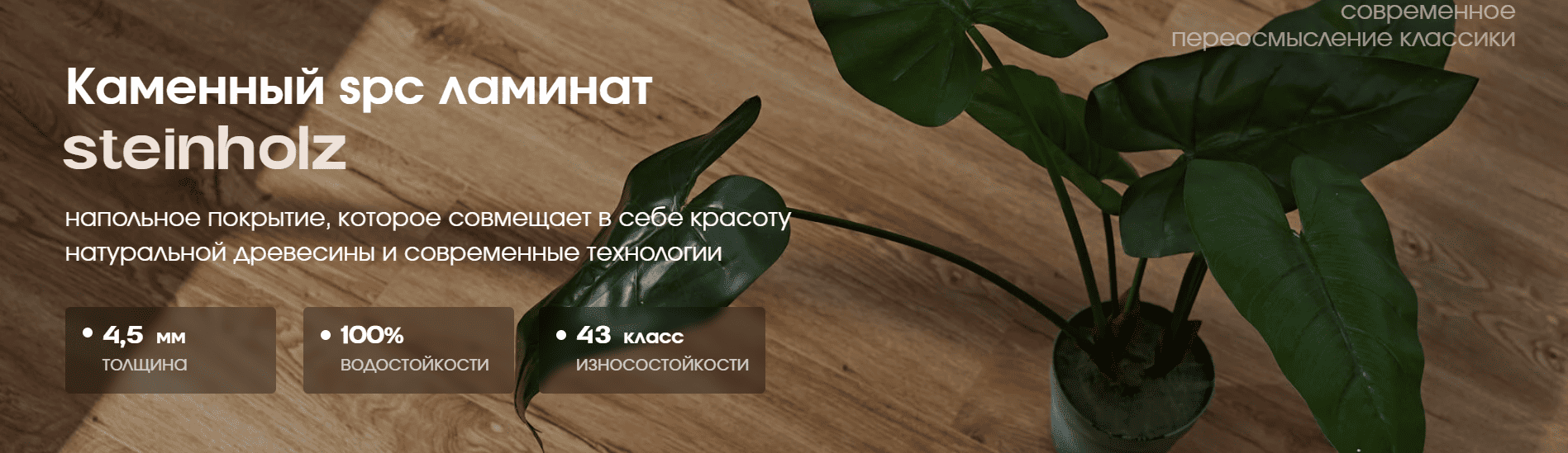 SPC-ламинат Steinholz